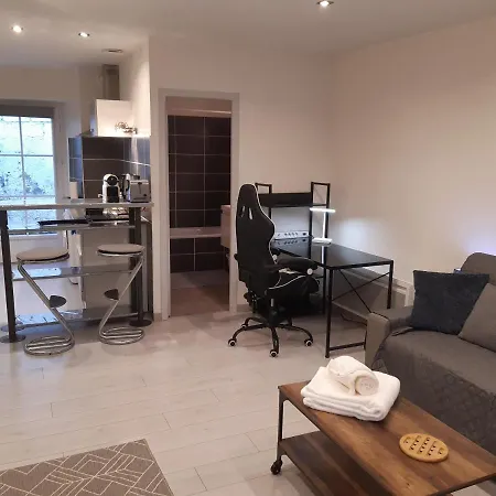 דירה Studio Place Du Foirail פאו
