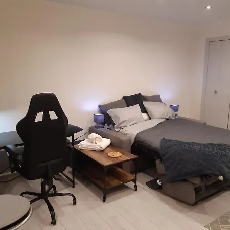 Studio Place Du Foirail * פאו